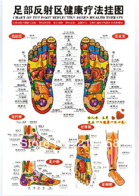beijing foot spa ayala feliz|Specializing in Chinese Foot Reflex, .